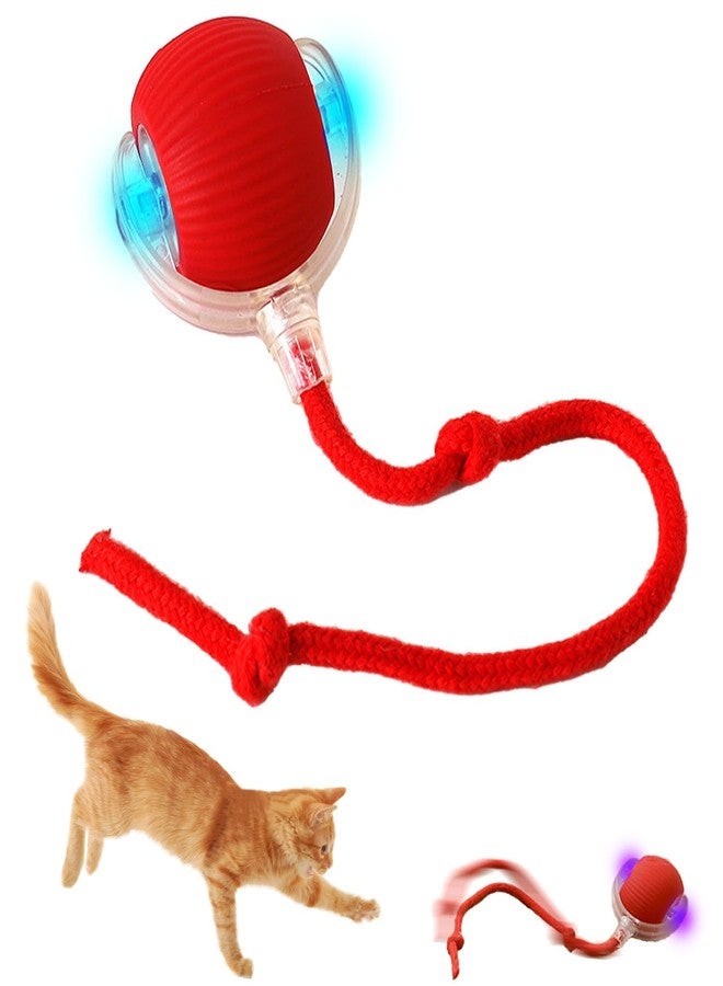LARYNX Rolling Ball Toy for Pets, Interactive Cat Toys Rolling Ball, Interactive Dog Ball Toy with USB Rechargeable for Small, Medium Dogs - Image 1